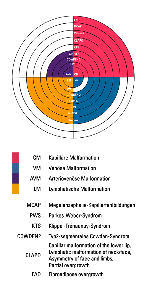 Grafik – Vaskuläre Malformationen bei Syndromen mit regionalem Überwuchs