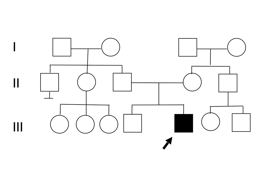 Autosomal-dominante Neumutation