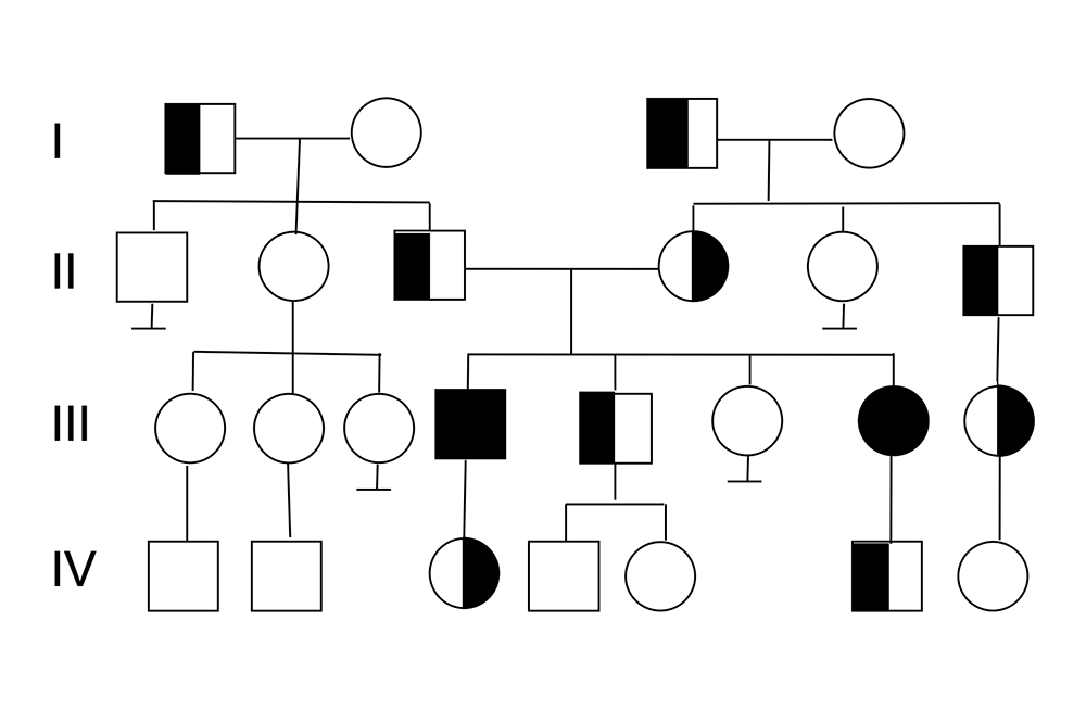 Autosomal-rezessiver Stammbaum